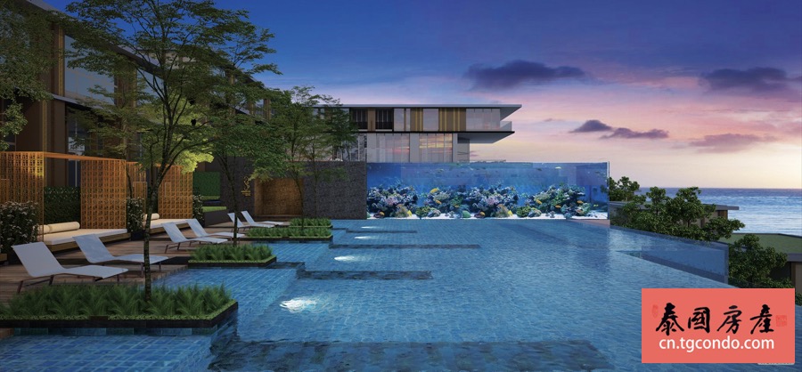 The Aristo Karon 泰国普吉岛卡隆包租海景酒店公寓