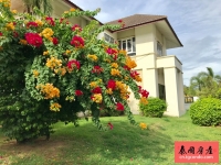 泰国芭提雅市区别墅出租，4房4卫