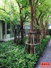 泰国曼谷Nana红灯区高层公寓Hyde Sukhumvit 11