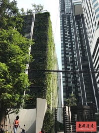 泰国曼谷Asok稀有精品2房户型，3.5米层高，超大阳台