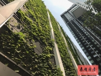 泰国曼谷Asok稀有精品2房户型，3.5米层高，超大阳台