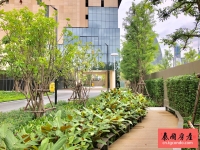 Oka Haus 泰国曼谷通罗高层豪华楼盘