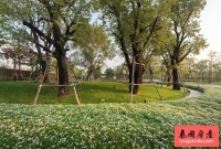 泰国超级豪宅别墅山提布里，验资看房