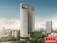 Siamese Exclusive 42泰国曼谷素坤逸日式住宅