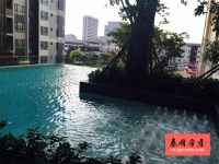 Base Central Pattaya 泰国芭堤雅城市中心房地产