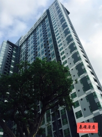 Base Central Pattaya 泰国芭堤雅城市中心房地产