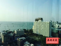 Base Central Pattaya 泰国芭堤雅城市中心房地产