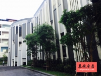 Base Central Pattaya 泰国芭堤雅城市中心房地产