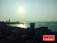 Base Central Pattaya 泰国芭堤雅城市中心房地产