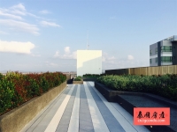 Base Central Pattaya 泰国芭堤雅城市中心房地产