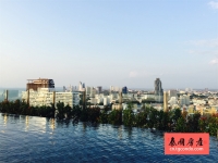 Base Central Pattaya 泰国芭堤雅城市中心房地产