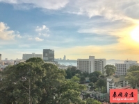 泰国芭提雅中心海公寓正面海景一室户型
