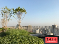 泰国曼谷Asok稀有精品2房户型，3.5米层高，超大阳台