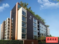 Tree Condo Sukhumvit 52 曼谷素坤逸现房